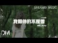 我期待的不是雪（emo 版）- 漁總up『離別 像天亮不知不覺，無言 比謊話更像再見』【動態歌詞】