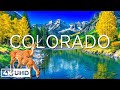 Colorado 4K - Springtime Bliss with Wildflowers and Majestic Mountains - 4K UHD