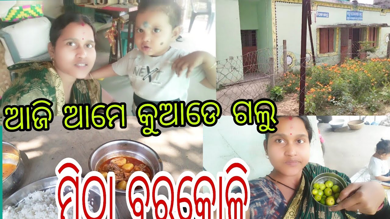 ଆଜି ଆମେ କୁଆଡେ ଗଲୁ//🙏Village Vlog #odia vlogs #for you #chicken curry 