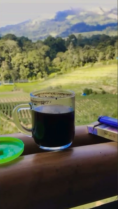 ngopi di pagi hari, dengan pemandangan Gunung