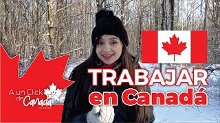 Vida Laboral Después de Graduarte en Canadá