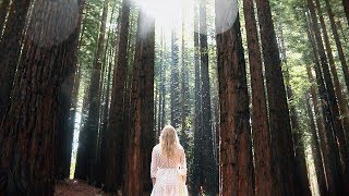 One More Light - Linkin Park | Sound Made Clearer Cover