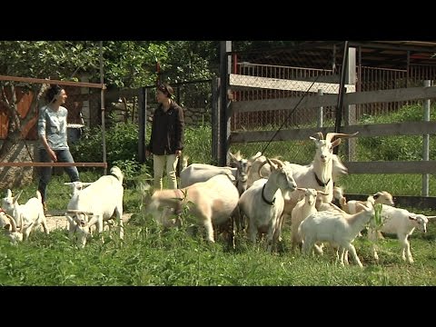\"მე ვტოვებ ქალაქს\" - ანი ვაშაგაშვილის სიუჟეტი