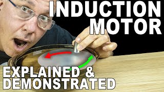 How to understand induction motors