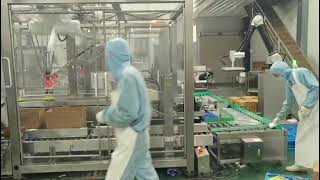 Automatic Case Unpacking, Packing, Sealing & Palletizing Line | Full Automation Solution