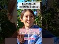 初診で主治医がいきなり「君は双極性障害だと思う」【双極性障害・躁鬱病】
