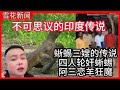 印度趣闻:蜥蜴三嫂的传说(四人轮奸蜥蜴),阿三恋羊狂魔,不可思议的印度传说