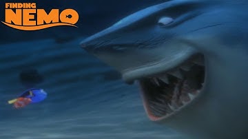 Finding Nemo - Part 2 (Minefield)