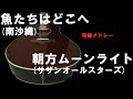 昭和歌謡カバー 26 魚たちは朝方 (「魚たちはどこへ」南沙織、「朝方ムーンライト」サザンオールスターズ)