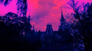 Mercer In The Upside Down