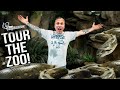 CAGE BY CAGE REPTILE ZOO TOUR!! | BRIAN BARCZYK