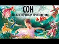 "Сон". Божественные песнопения. Духовное развитие во сне!