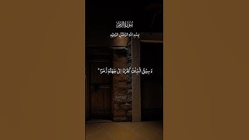 #quran #اكسبلور #المصحف #سورة_الزمر #تلاوة_خاشعة