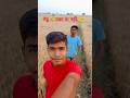 गेहूं पका या नहीं#shorts #farmingtips #wheatharvest#agriculture#farmerlife #viralshorts#PBvlogelife