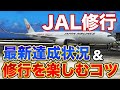 【JAL修行】2025年達成状況＆修行の楽しみ方！残りの目標は？