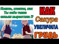 Аниме мемы 2021.Как Сакура Увеличила грудь(Лютые приколы)