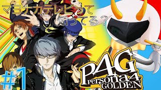 [ペルソナ4 ザ・ゴールデン] 楽しい一年間が始まるぞ！『マヨナカテレビって知ってる？』ネタバレ注意[ペルソナ4 G/Vtuber] #ペルソナ4ザゴールデン #Vtuber