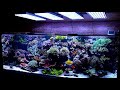 Meerwasser-Aquarium von Michael aus Thayngen (Schweiz) - 1700L, vollautomatisiert und durchdacht