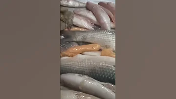 اسكندراني وبنحبو 