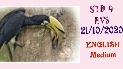 VICTERS channel Std EVS online class