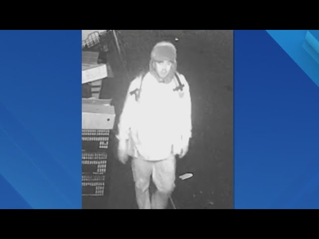 Thieves Take 80k In Jewelry From Chinatown Store Nypd