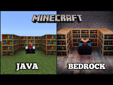 Minecraft Java Vs Bedrock | #6