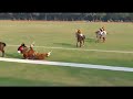 horse POLO fall