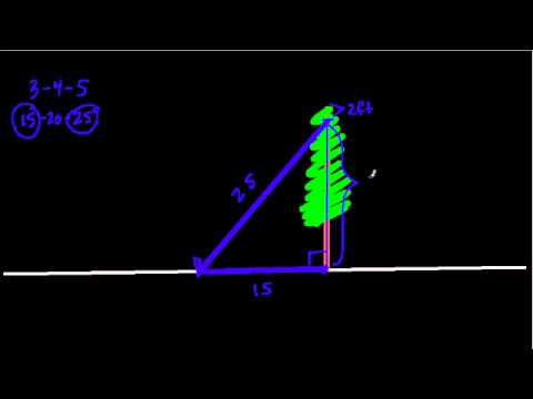 Pythagorean Theorem and Tree Height - YouTube