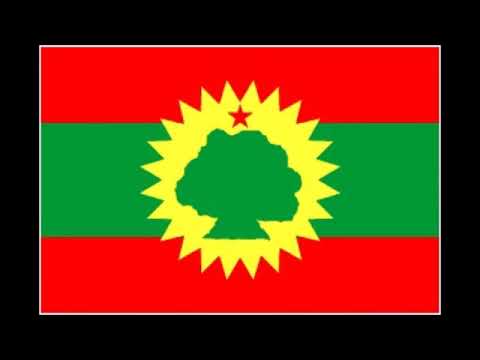 Faaruu Alaabaa Oromoo Hawwisoo Qeerroo Caamsaa 2015