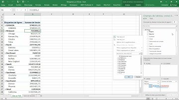 TCD 29: Comment trier un tableau croisé dynamique(1)