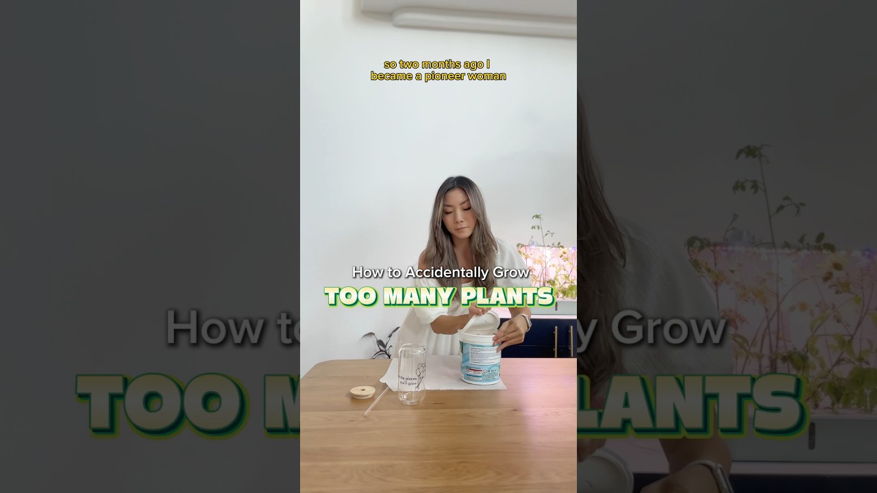 How to “ACCIDENTALLY” Grow TOO MANY PLANTS 🌿