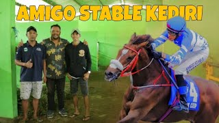 INI DIA 4 EKOR KUDA PACU ANAK PEJANTAN CLASSIC TUSCALOOSA AMIGO STABLE !! SUPPORTED BY XI YAOPIN ZHI