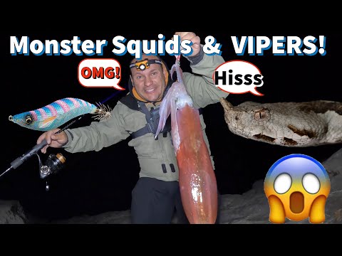 Spring Squid Fishing: