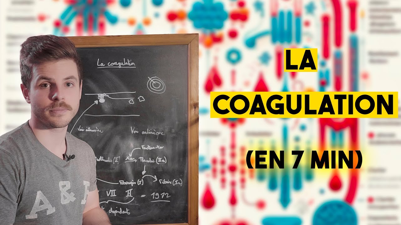 La coagulation, expliquée en sept minutes