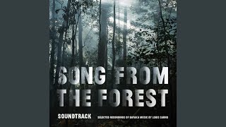 Download Lagu Bobé Spirits Calling MP3 Download Lagu Bobé Spirits Calling MP3
