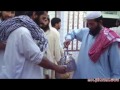 Qari Owais Ahmad S/o Hafiz Zubair Sahib (Late) Sahib's Nikkah