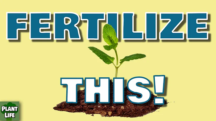 What Does NPK Mean on Fertilizer?