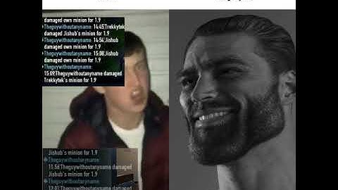 Average Pocohud Fan VS Average VoidUI Enjoyer
