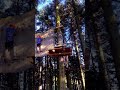 Sport, climbing, tree climbing #sports #climbing #outdoors #outdoorskills #like #subscribe #support