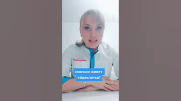 Сколько живет яйцеклетка. #shorts #short