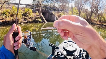 3 Hours of RAW and UNCUT Ultralight Fishing with Gulp Minnows | Melton Hill Lake