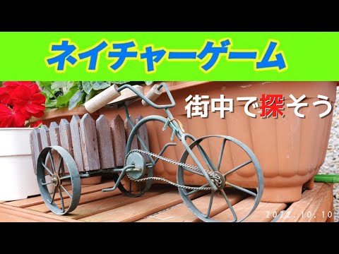 【保育内容の理解と方法】ネイチャーゲーム(フィールドパターン)