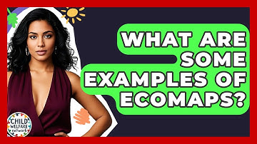 What Are Some Examples Of Ecomaps? - Child Welfare Network