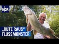 Die Flussmonster vom Spreewald | Rute raus, der Spaß beginnt! | NDR