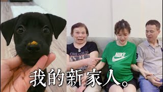 我家多了一個新成員！敲可愛｜技安