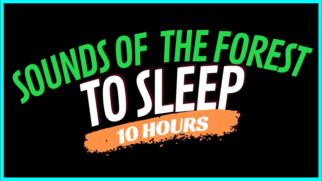 Forest Sounds for Deep Sleep | 10 Hours Black Screen | Relaxing