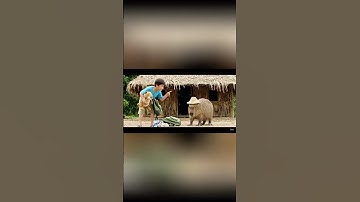 Capybara đáng yêu bị anh hiểu lầm #trending #funny #ytshorts #capybara