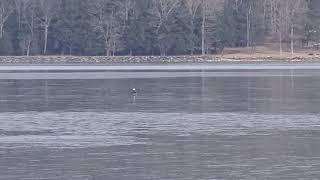 Deep Creek Lake morning 1/11/21