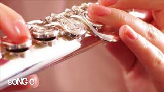 Famous Flute-Sample-1 Profile