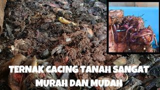 BAHAN SEDERHANA TERNAK CACING TANAH!! simple ingredients Lumbricus earthworm farming
